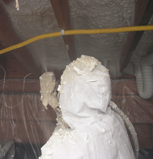  MS crawl space insulation